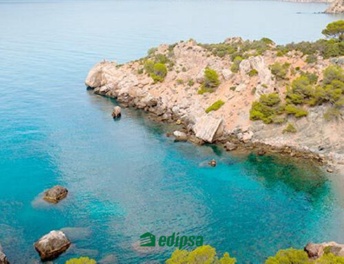 Descubre las mejores playas de la Provincia de Málaga